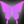 papiyon_p.bmp